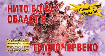 Затишие преди Омикрон: Нито една област в тъмночервено