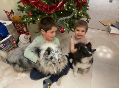Бойко пак се похвали с внуците