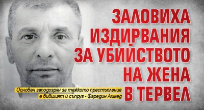 Заловиха издирвания за убийството на жена в Тервел