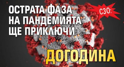 СЗО: Острата фаза на пандемията ще приключи догодина