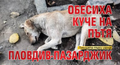 Обесиха куче на пътя Пловдив-Пазарджик