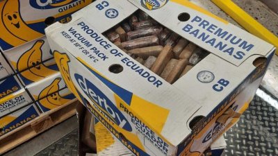 Хванаха над 500 кг. кокаин в кашони с банани в Черна гора