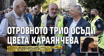 Отровното трио осъди Цвета Караянчева