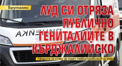 Брутално: Луд си отряза публично гениталиите  в Кърджалийско