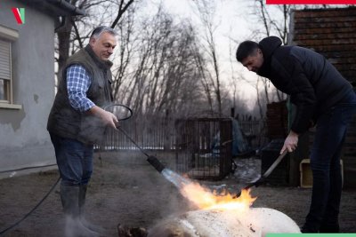 Виктор Орбан коли прасе и жули люта ракия (СНИМКИ)