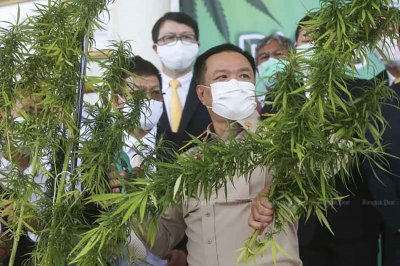Тайландската агенция за борба с наркотиците обяви че ще премахне