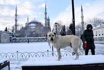 Необичаен студ скова Истанбул