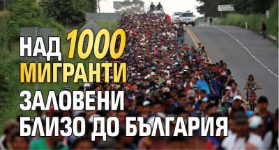 Над 1000 мигранти заловени близо до България