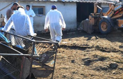 Затвориха ромската махала във Видин заради чумата