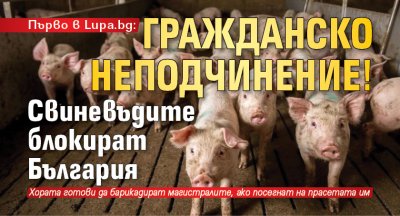 Първо в Lupa.bg: Гражданско неподчинение! Свиневъдите блокират България