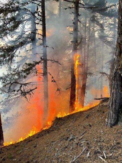 Пожар избухна над село Осеново край Банско по обяд Огънят