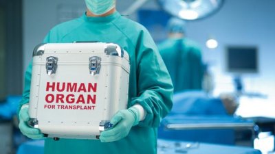 Над 1000 души, чакащи трансплантация, са починали през последните 10 години