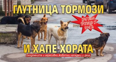 Драгоман пропищя от кучета: Глутница тормози и хапе хората