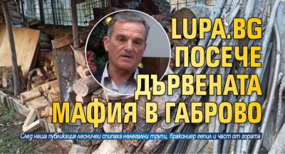 Lupa.bg посече дървената мафия в Габрово