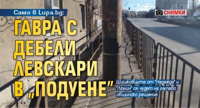 Само в Lupa.bg: Гавра с дебели левскари в "Подуене" (снимки)