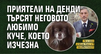 Приятели на Денди търсят неговото любимо куче, което изчезна