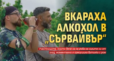 Вкараха алкохол в „Сървайвър“