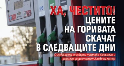 Ха, честито! Цените на горивата скачат в следващите дни