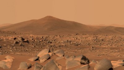Камък от Марс оценен на $800 000
