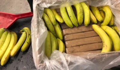 Над сто килограма кокаин в контейнер с банани са били