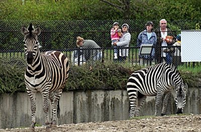 Вход свободен в софиийския зоопарк 
