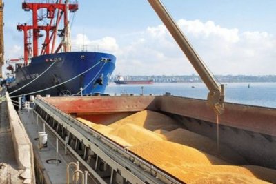 Започнаха денонощни проверки върху износа на зърнени и житни култури