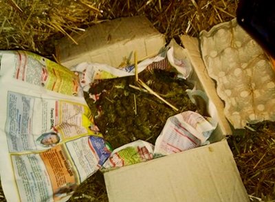 Криминалисти от Шумен иззеха над 6 кг канабис и половин