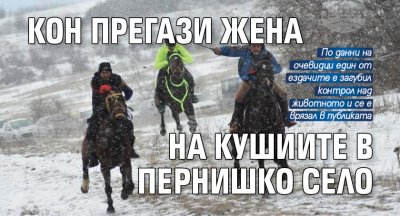 Кон прегази жена на кушиите в пернишко село