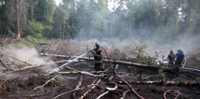 В забранената зона около АЕЦ Чернобил пламнаха няколко пожара предаде