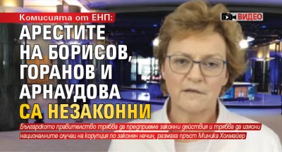 Комисията от ЕНП: Арестите на Борисов, Горанов и Арнаудова са незаконни (ВИДЕО)