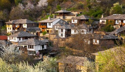 Повече от 200 000 са новите жители в българските села