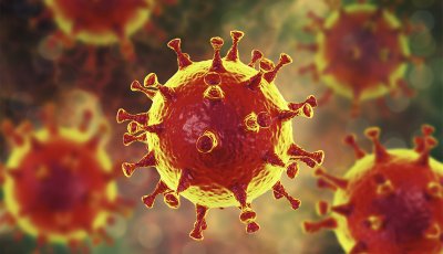 1424 са новите случаи на коронавирус у нас за последните