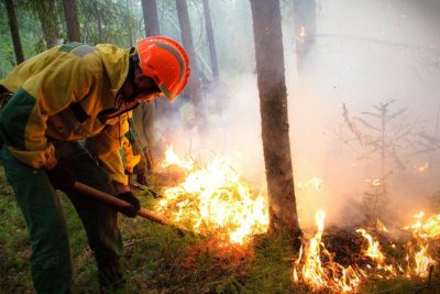 Пожарът в Сибир обхвана над 1 милион декара гора