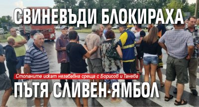 Свиневъди блокираха пътя Сливен-Ямбол