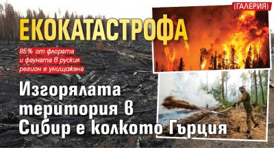Екокатастрофа: Изгорялата територия в Сибир е колкото Гърция (ГАЛЕРИЯ)