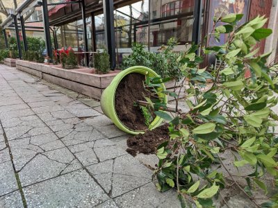 Жълт код за опасно силен вятър в 8 области