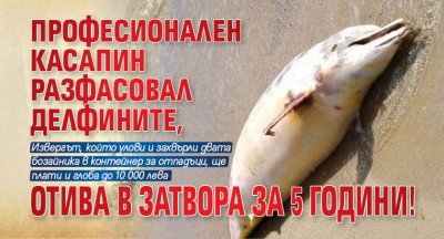 Професионален касапин разфасовал делфините, отива в затвора за 5 години!