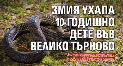 Змия ухапа 10-годишно дете във Велико Търново