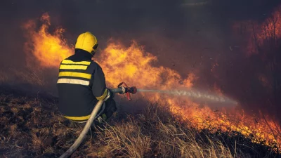Пожар горя в труднодостъпната месност Нивище в Странджа Огънят беше