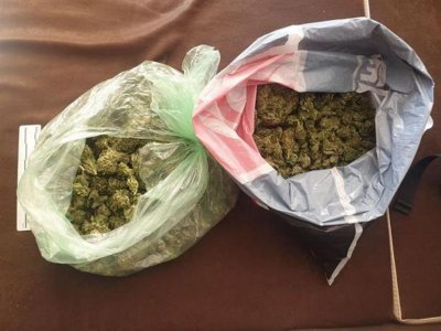 Иззеха около 70 грама марихуана и 20 растения от вида на конопа