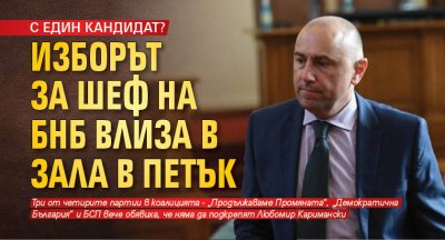 С ЕДИН КАНДИДАТ? Изборът за шеф на БНБ влиза в зала в петък