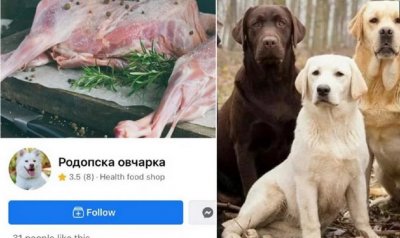 Вместо агнешко за празниците се предлага кучешко месо За това