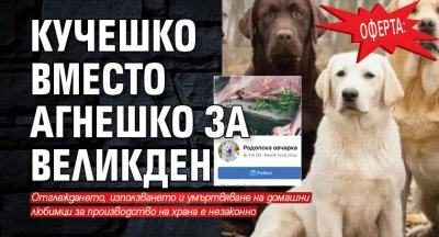 ОФЕРТА: Кучешко вместо агнешко за Великден