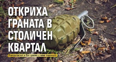 Откриха граната в столичен квартал