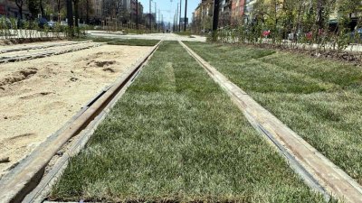 Започна поставянето на тревните чимове в новия линеен парк по