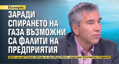 Експерт: Заради спирането на газа възможни са фалити на предприятия