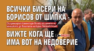 Бившият премиер и лидер на ГЕРБ Бойко Борисов се пусна