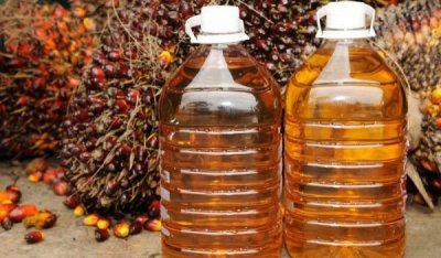 Индонезия най големият производител на палмово масло в света обяви планове