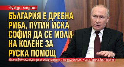 Чужди медии: България е дребна риба, Путин иска София да се моли на колене за руска помощ