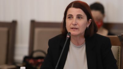 Директорът на Aгенцията за бежанците Мариана Тошева ще замести оттеглилия
